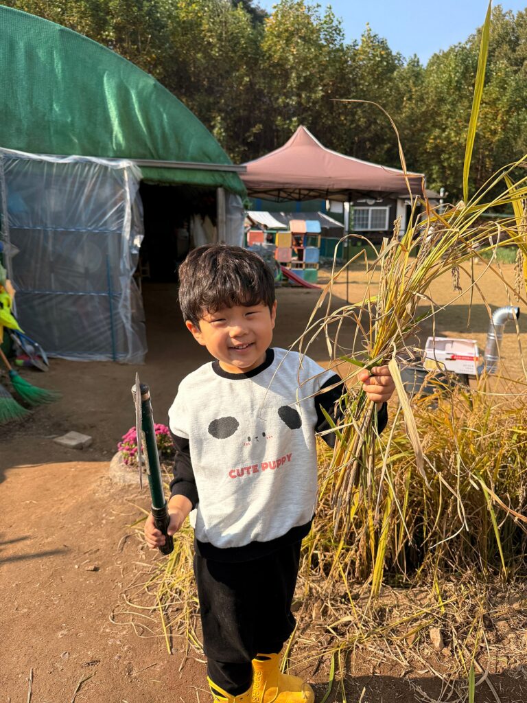 4세고시? 우리 애는 숲에서 논다 | 5살 첫째 숲유치원 보낸 솔직후기